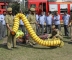 Emergency and Evacuation Fire Mock Drill